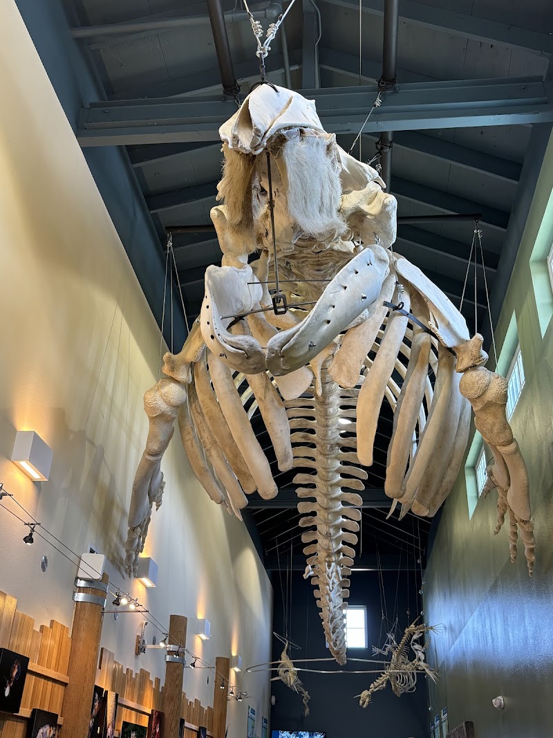 MaST Center Aquarium photo 2