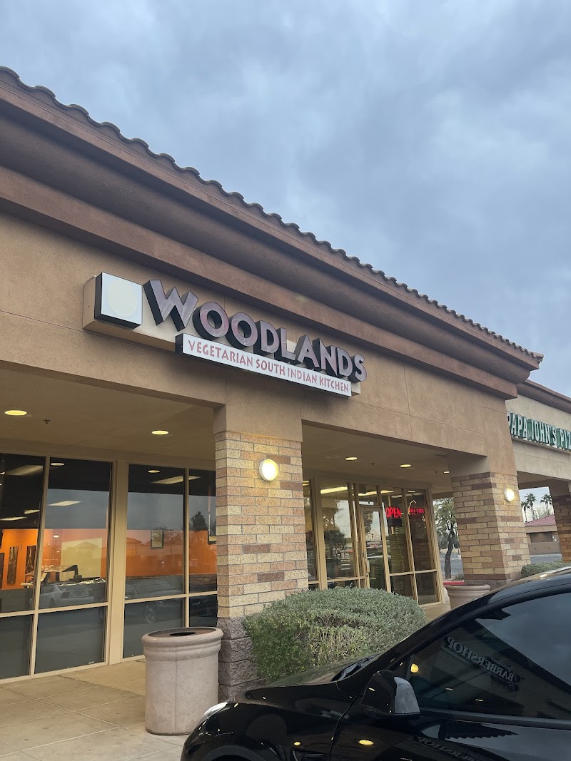 Woodlands Vegetarian South Indian Kitchen photo 5