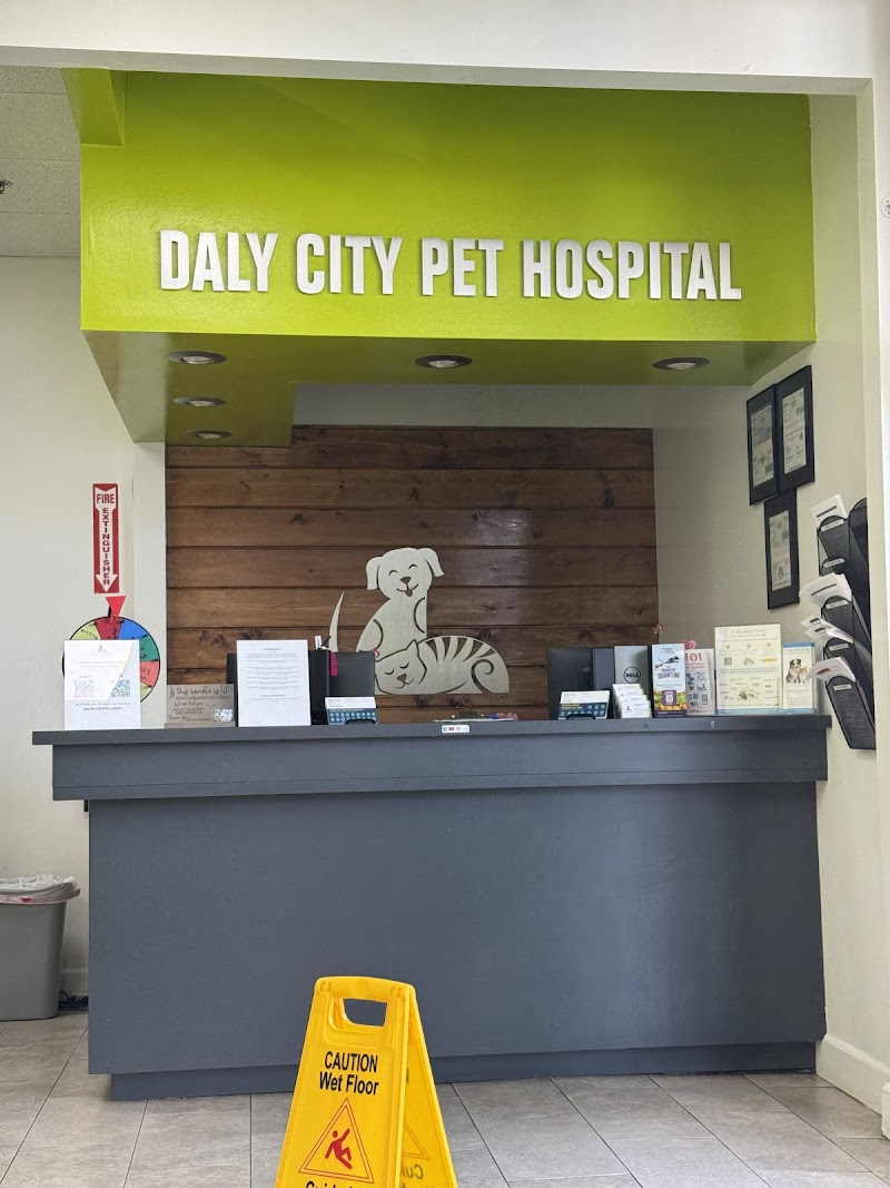 Daly City Pet Hospital photo 2
