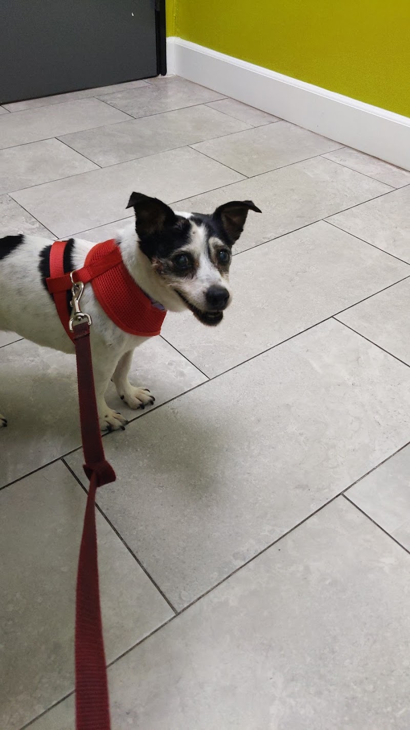 Daly City Pet Hospital photo 5
