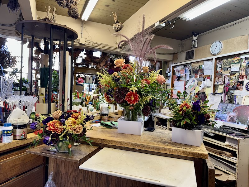 Dixon Florist & Gift Shop photo 2