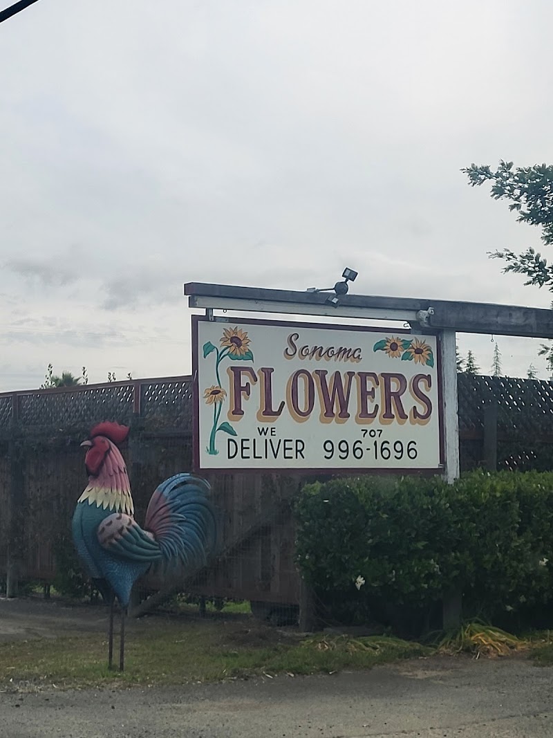 Photo of Sonoma Flowers by Sally Blue