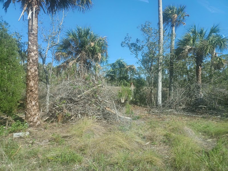 Photo of Aripeka Sanctuary