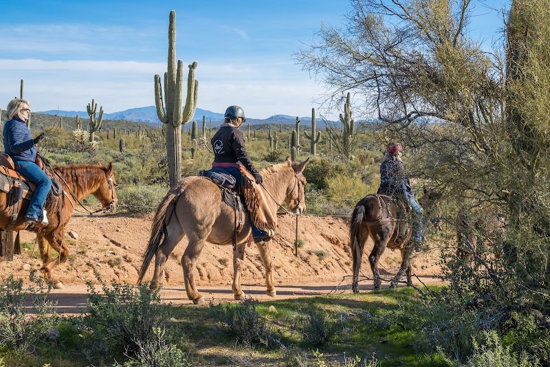 Ride Out Ranch photo 2