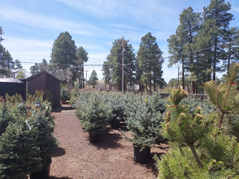 Christopher's Gardens photo 5