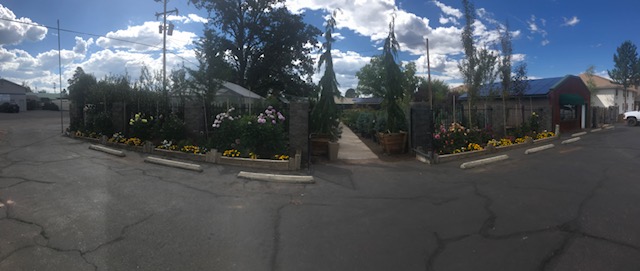Christopher's Gardens photo 2