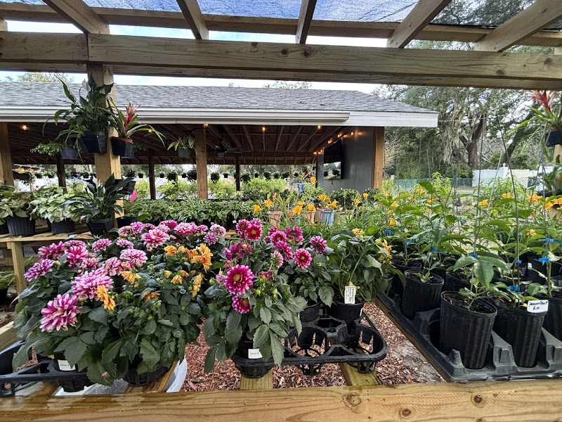 Amie’s Garden Cafe photo 5