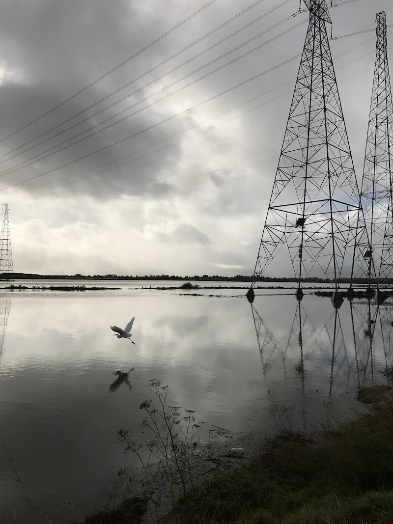 Photo of Beach Park Blvd & Foster City Blvd