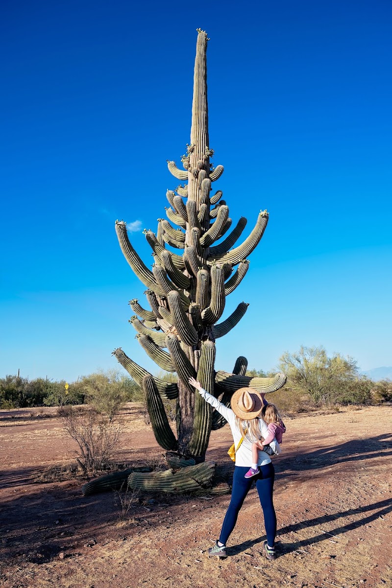 Discover Marana photo 2