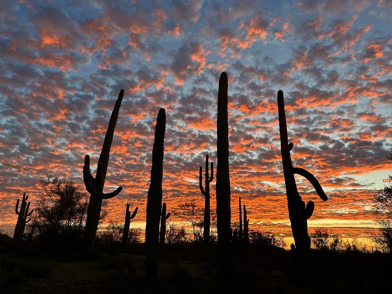 Discover Marana photo 3