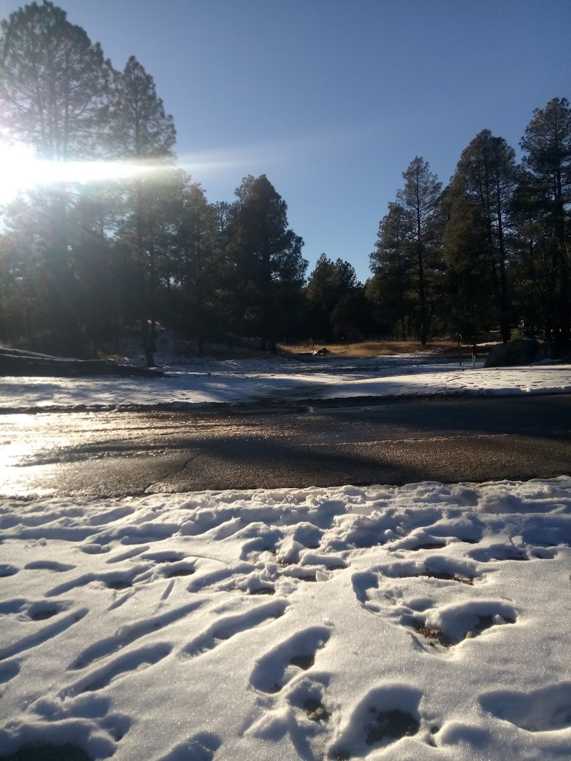Emmanuel Pines Camp & Retreat Center photo 3