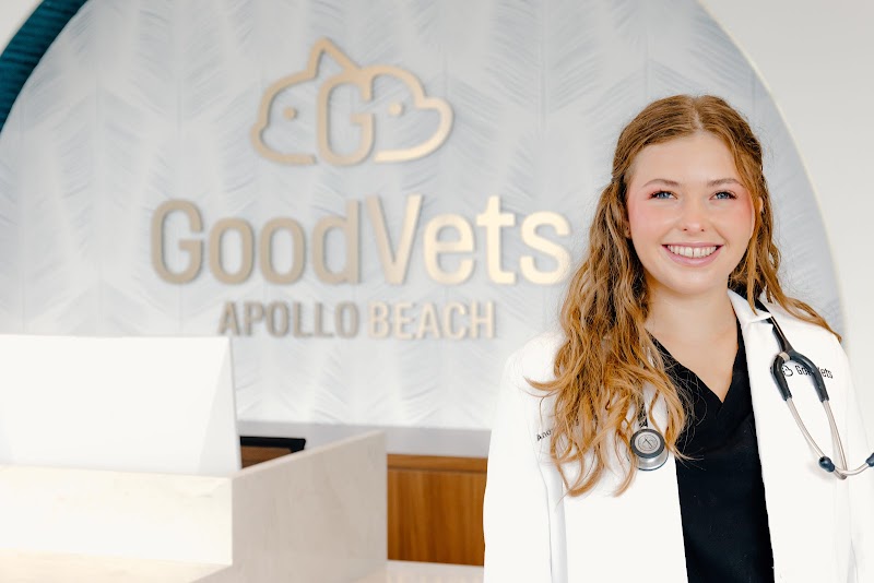 GoodVets Apollo Beach photo 3
