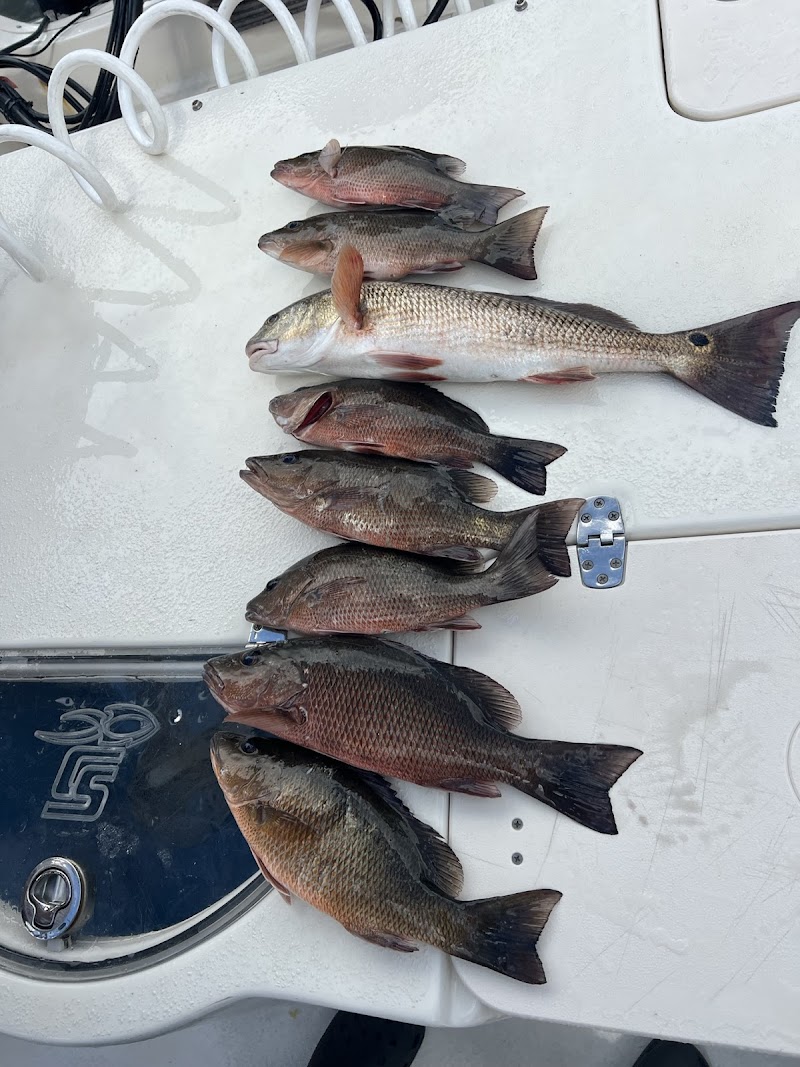 Photo of Skinny D's Fishing Adventures