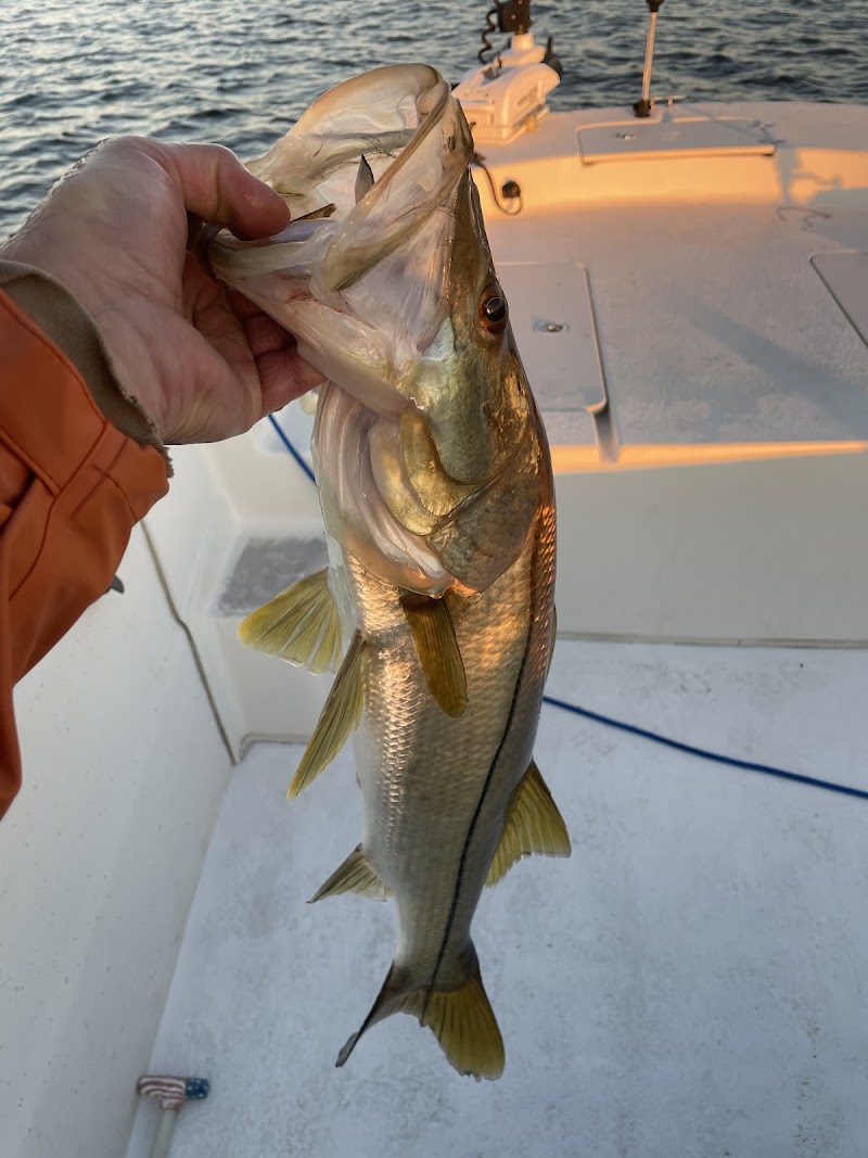 Skinny D's Fishing Adventures photo 2