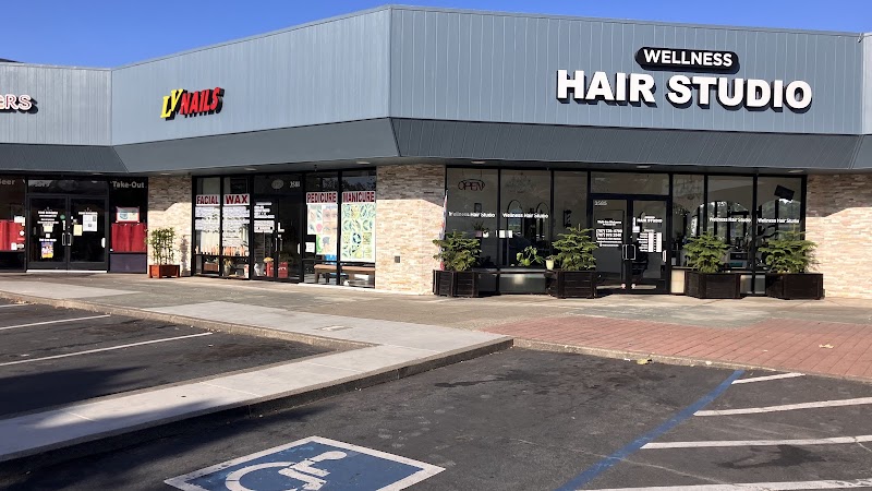 Photo of Wellness Hair Studio