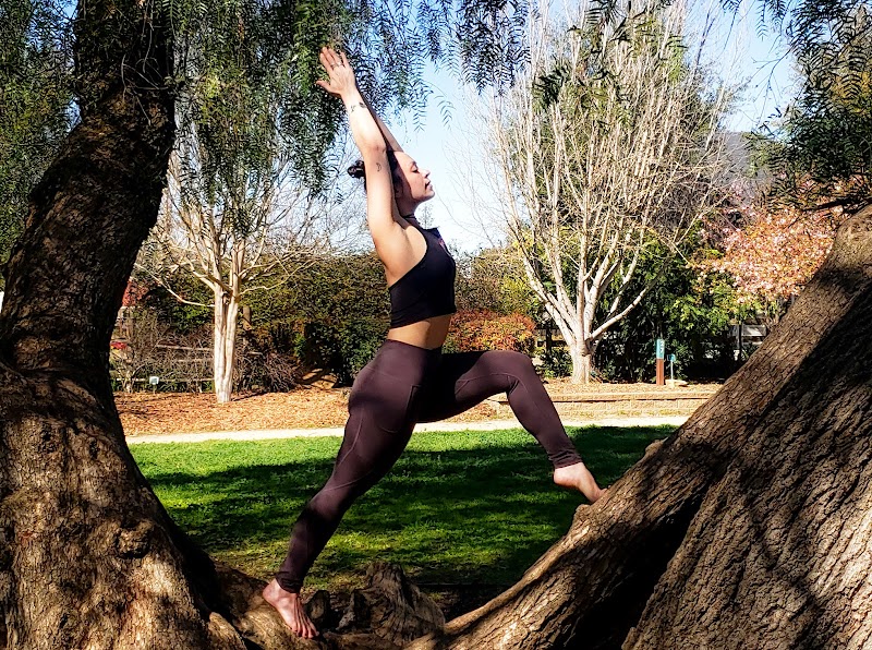 Yoga Inspired Life photo 3