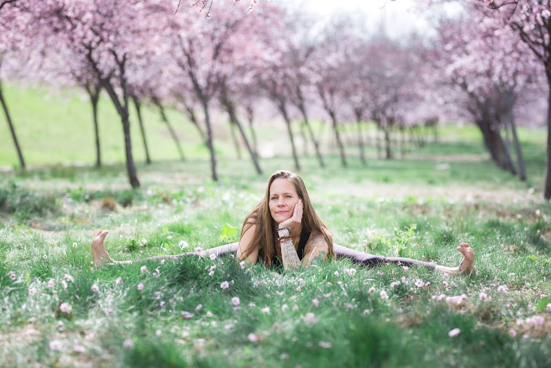 Photo of Yoga Inspired Life