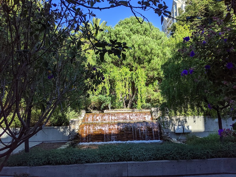 Photo of Montessori School of San Francisco
