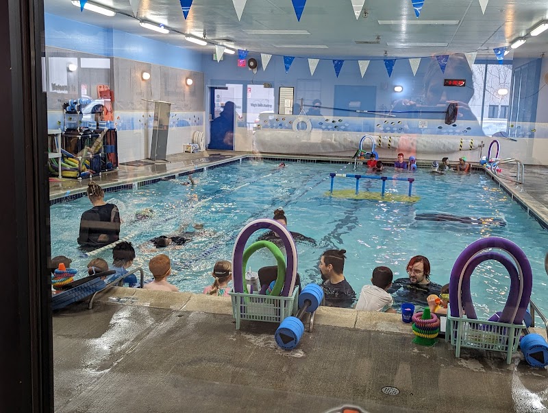 King's Swim Academy - San Carlos photo 2