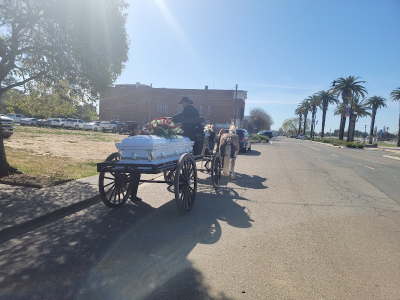 Fancy Ferriage by Horse & Carriage photo 3