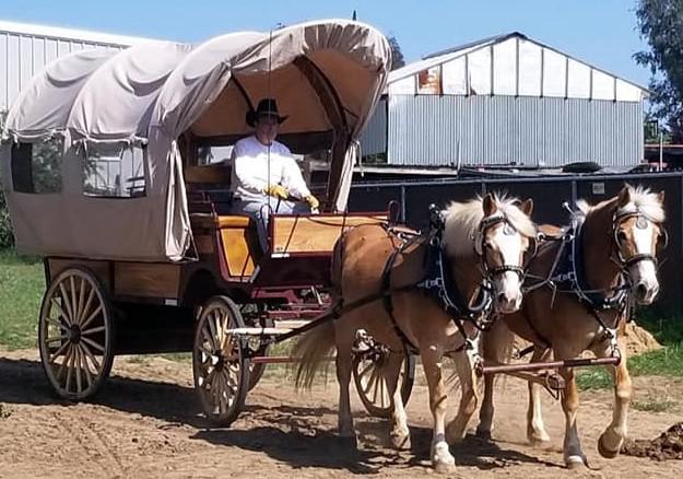 Photo of Fancy Ferriage by Horse & Carriage