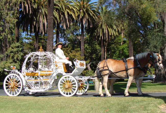 Fancy Ferriage by Horse & Carriage photo 2