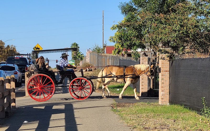 Fancy Ferriage by Horse & Carriage photo 5