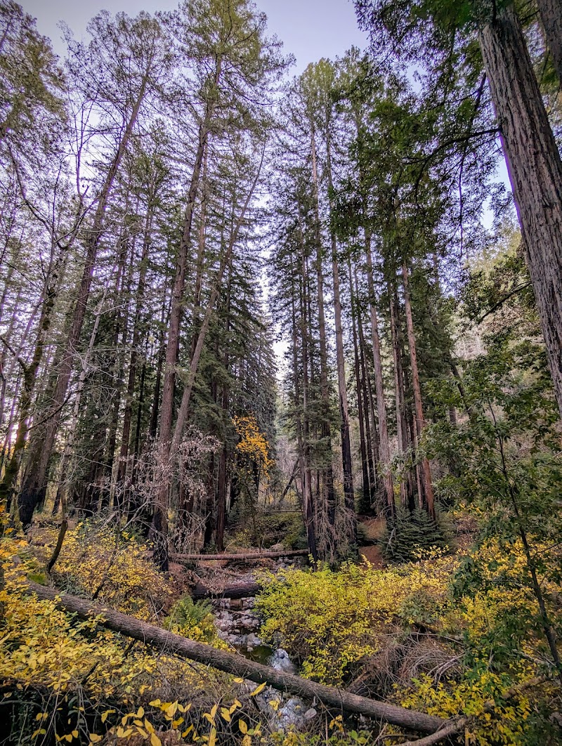 Bothe-Napa Valley State Park photo 4