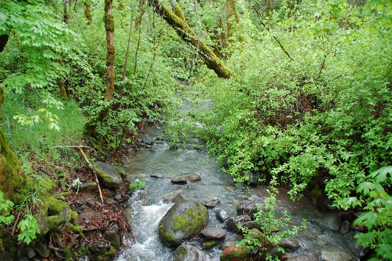 Photo of Bothe-Napa Valley State Park