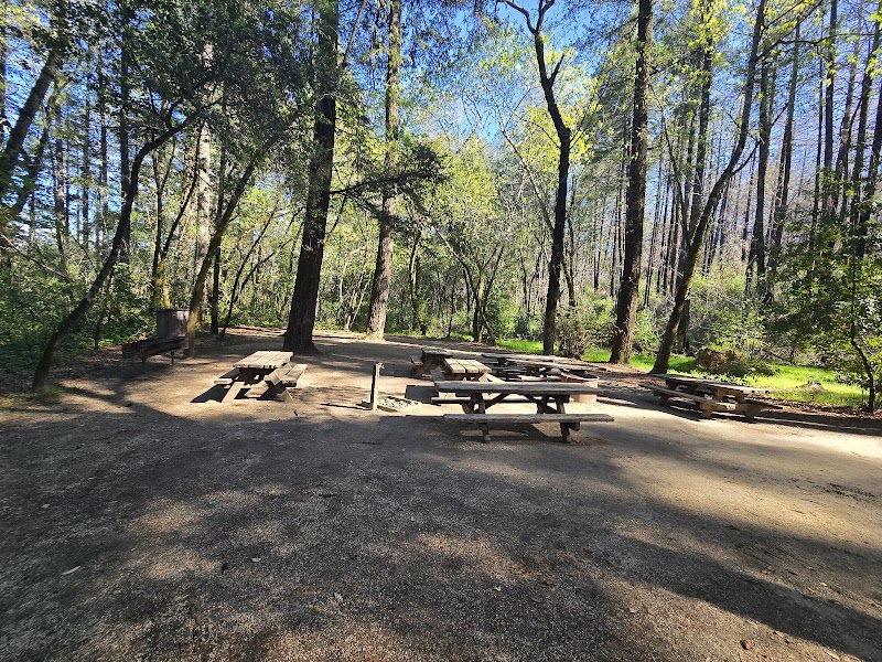 Bothe-Napa Valley State Park photo 2
