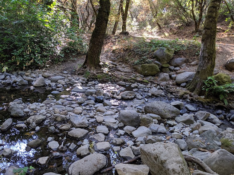 Bothe-Napa Valley State Park photo 5