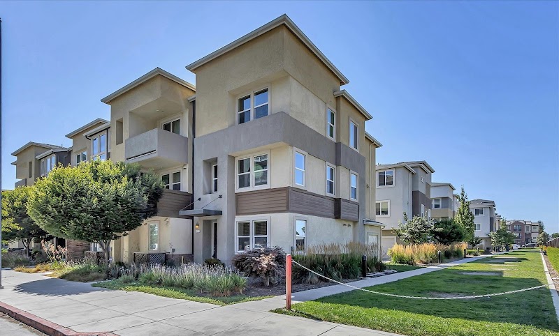 Jasmine Lin Real Estate and Mortgage photo 2