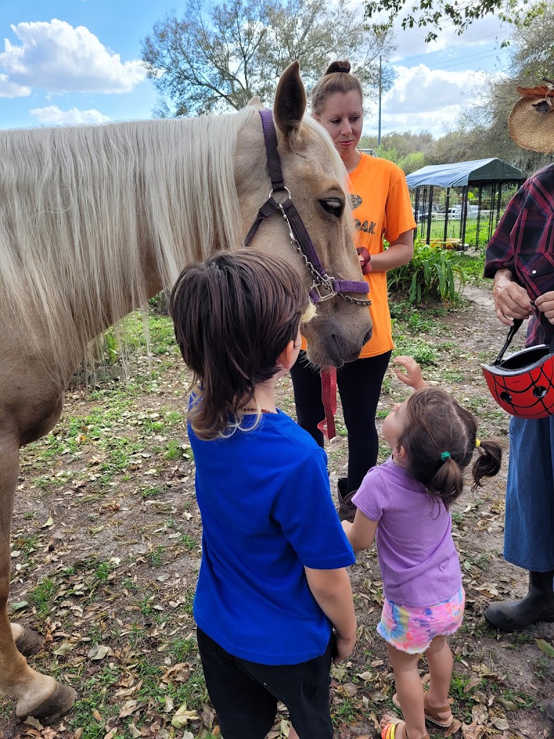 Adams Ranch photo 5