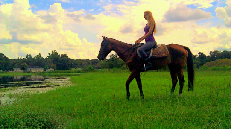 Adams Ranch photo 4