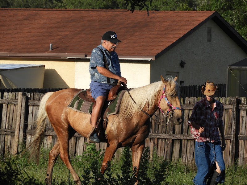 Adams Ranch photo 3