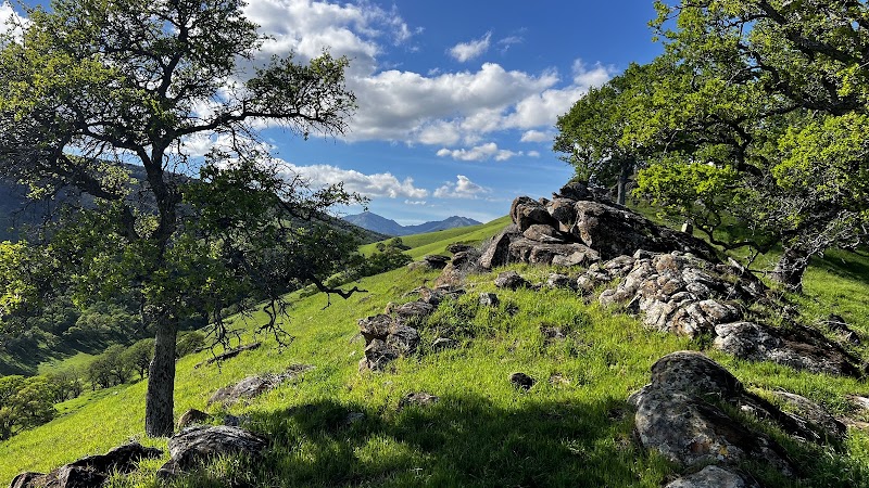 East Bay Regional Park District - Public Safety photo 2