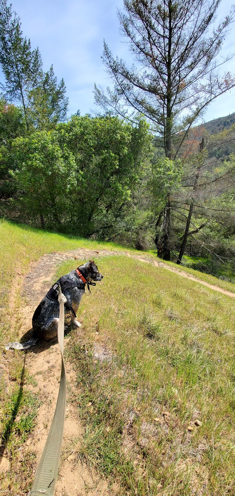 Porterfield Creek Preserve photo 5
