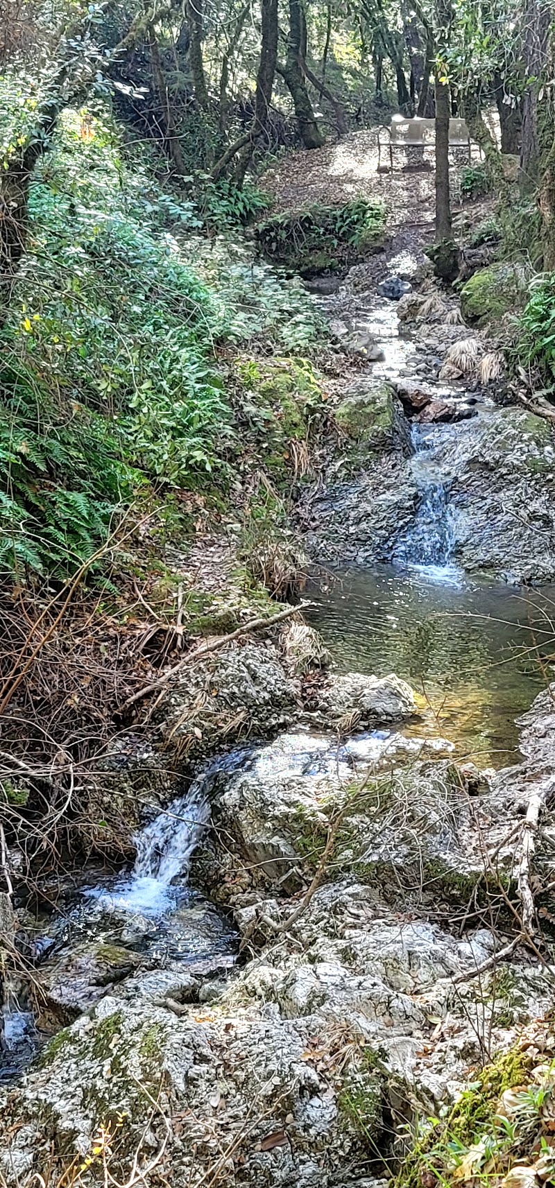 Porterfield Creek Preserve photo 3