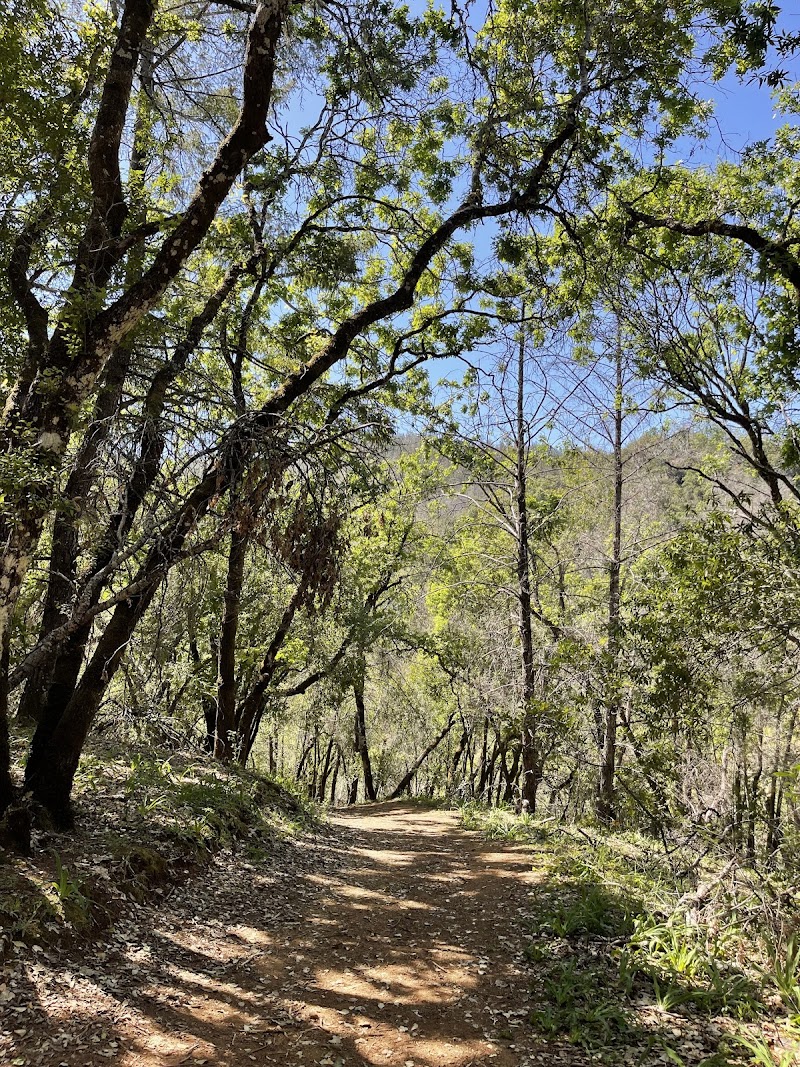 Porterfield Creek Preserve photo 2