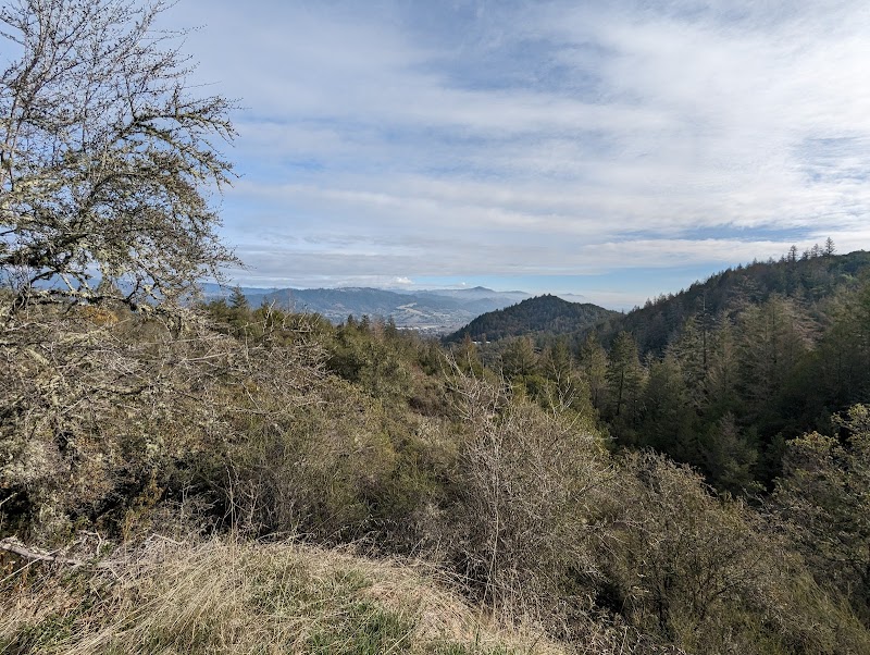 Photo of Porterfield Creek Preserve