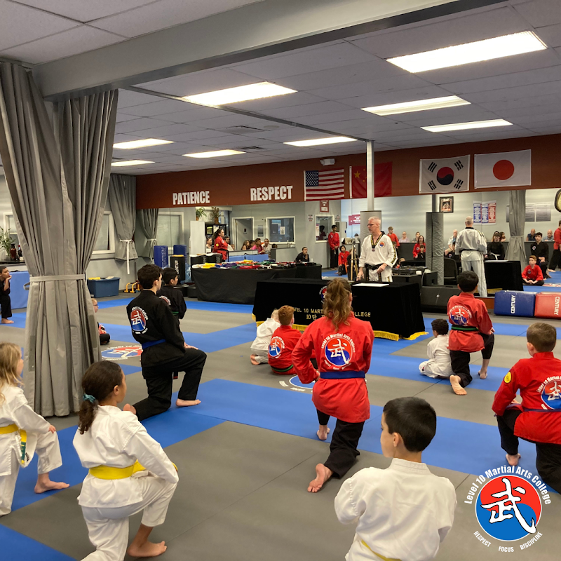 Level 10 Martial Arts College photo 3