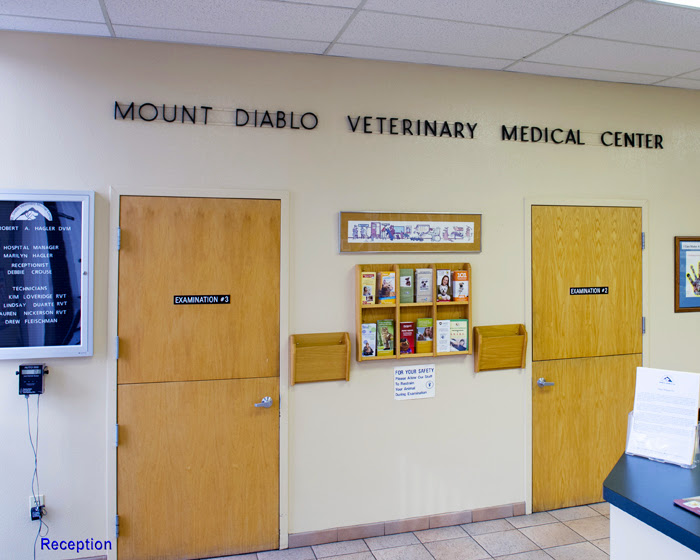 Mt. Diablo Veterinary Medical Center photo 3