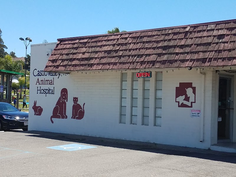 Castro Valley Animal Hospital photo 5