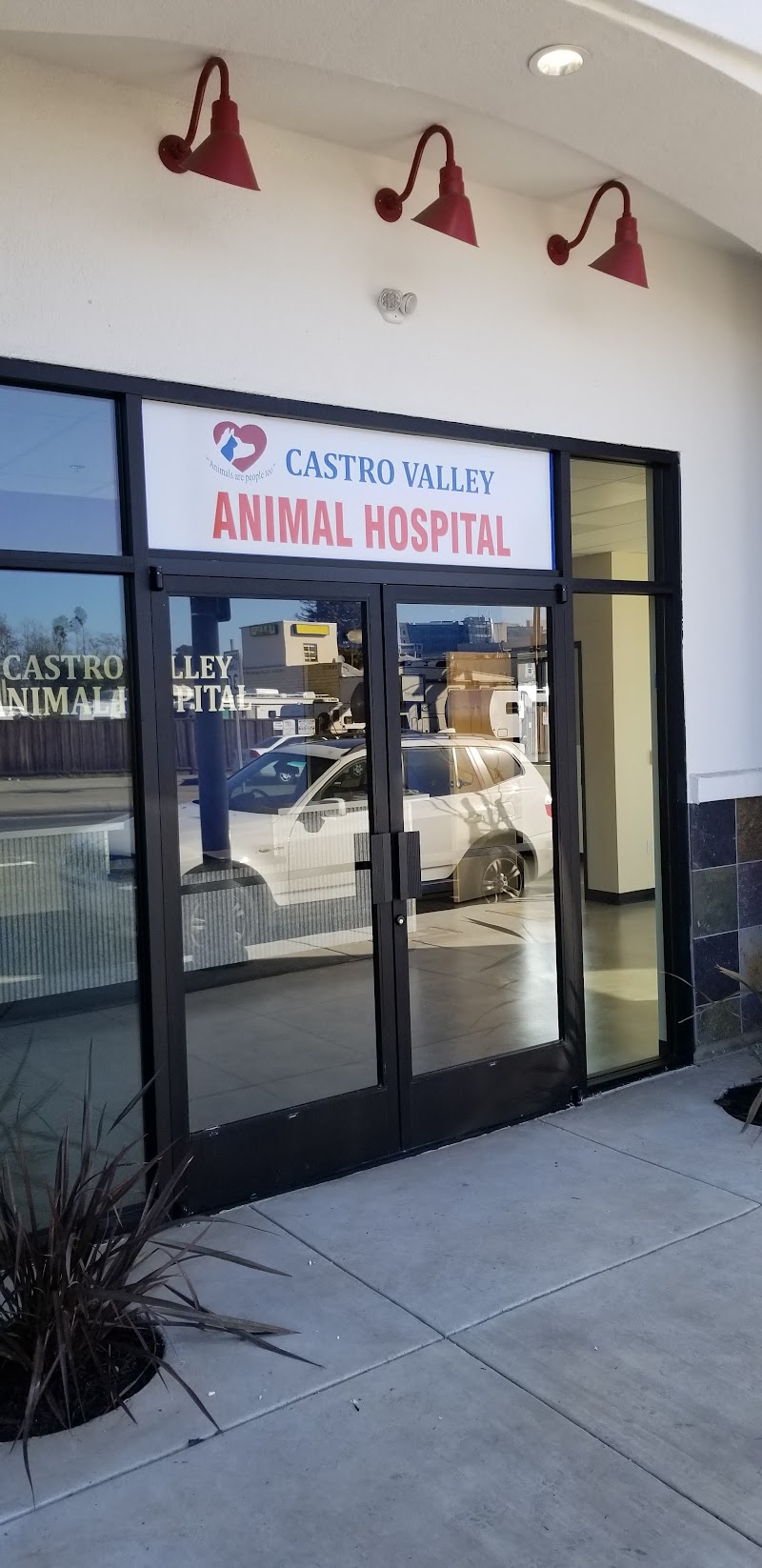 Castro Valley Animal Hospital photo 4