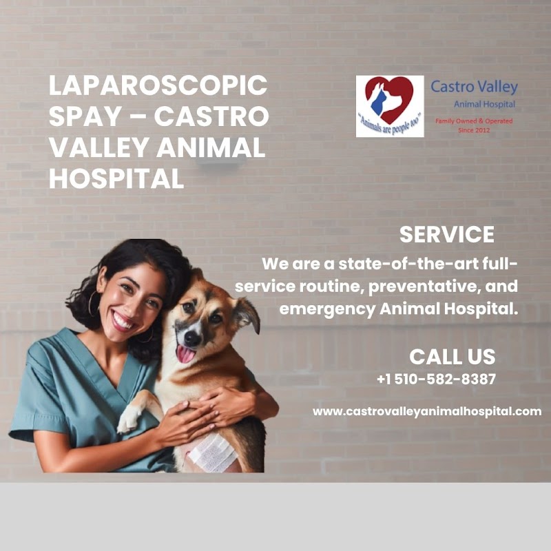 Castro Valley Animal Hospital photo 2