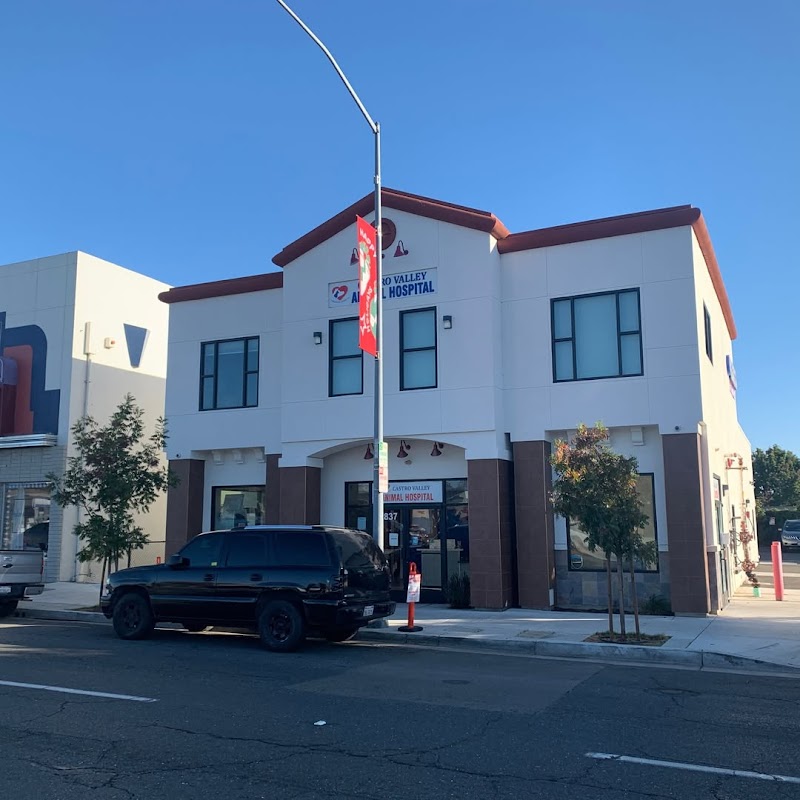 Photo of Castro Valley Animal Hospital