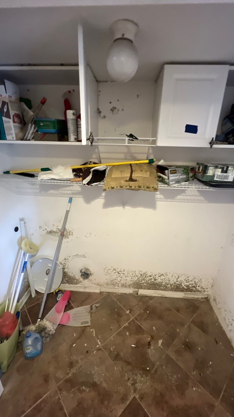 Germ Masters Environmental photo 3