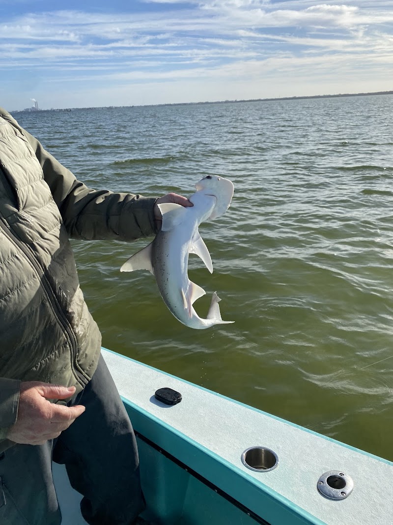 Photo of Tampa bay fishing charters