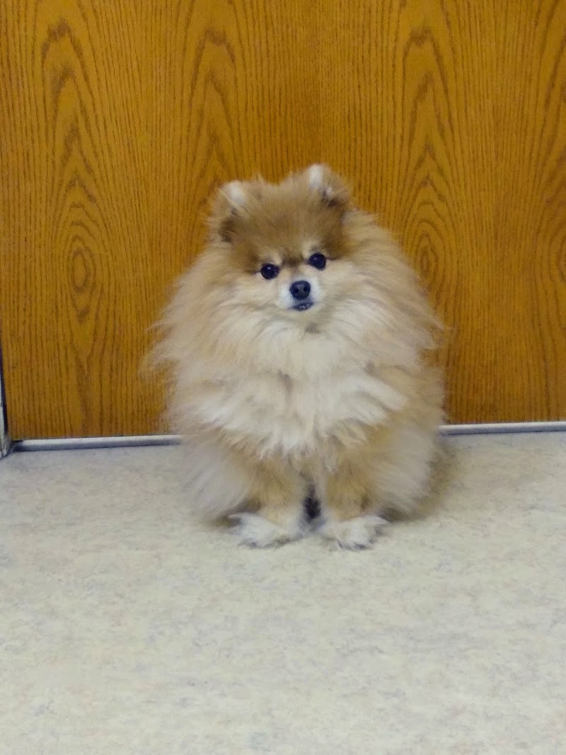 Conde Veterinary Hospital photo 5