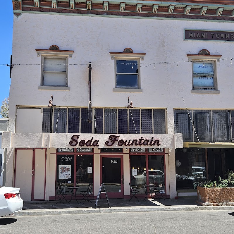 The Lyric Soda Fountain photo 4
